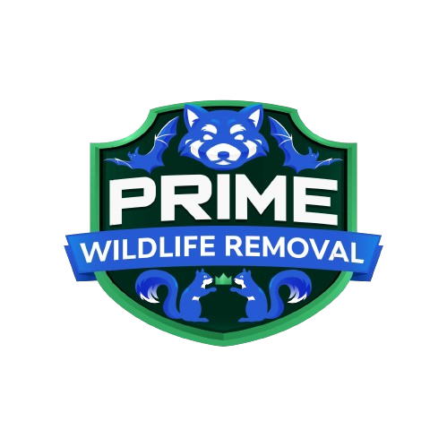 Animal Removal Greene County